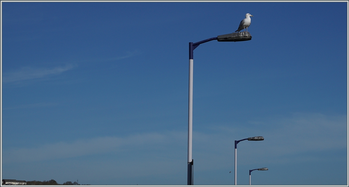 Schöne Aussicht! 
Exeter St Thomas,
den 20. April 2016 