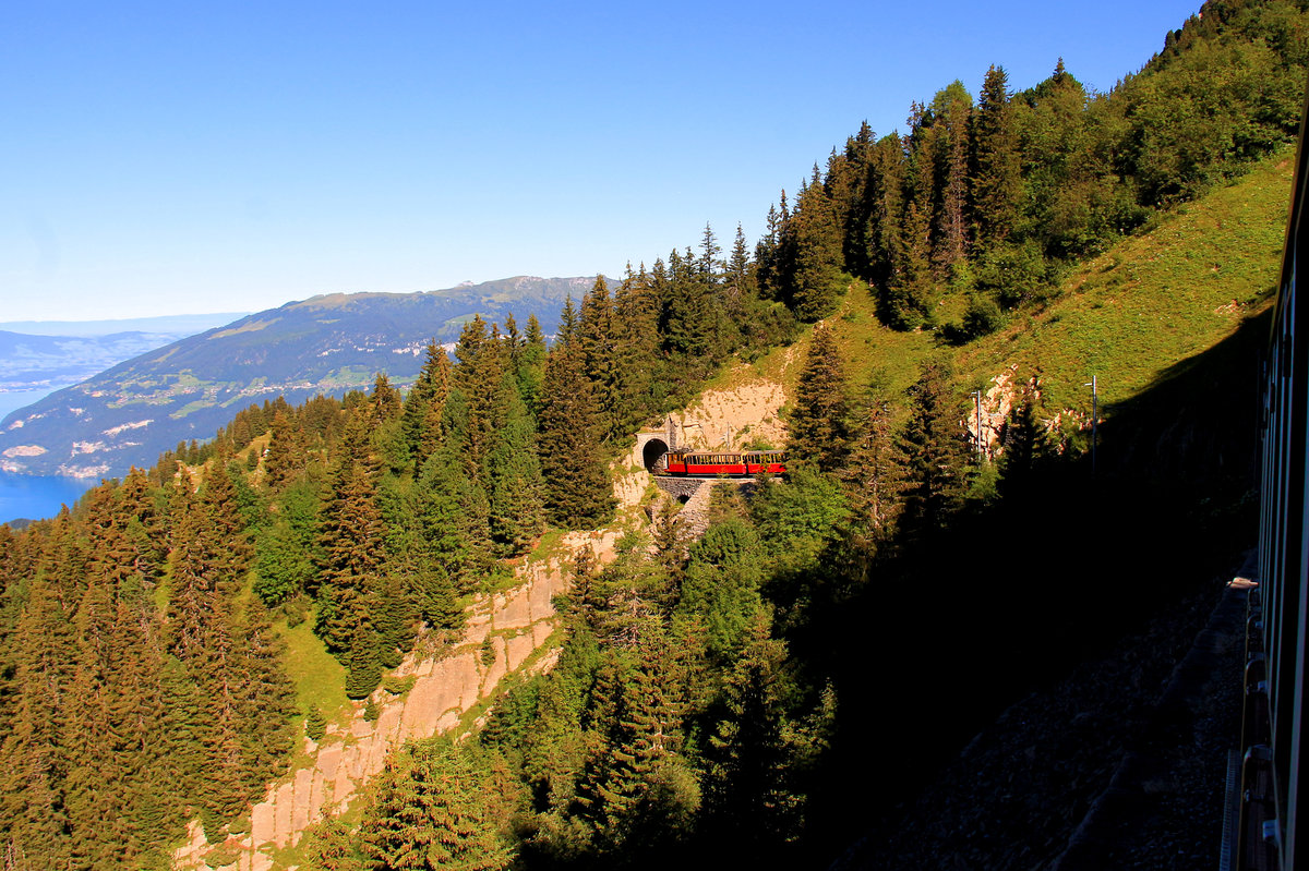 Schynige Platte Bahn: Lok 20 mit den Wagen 45 und 46 im Abstieg unterhalb der Schynigen Platte. 23.August 2016. 