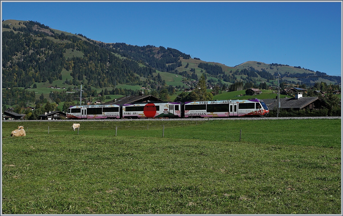 Seit 2017 sind die Montreux-Oberland Bernoise Railway und die Nankai Electric Railway  Sister Railways, was immer dies auch bedeuten mag, neben Aufklebern auf Alpina Triebwagen und einem grossen Werbebanner in Montreux zeigt sich die  Sister Railway  Philosophie in der Farbgebung des  Lenkerpendels  ABt 342 - Be 4/4 5002 - Bt 242, welcher hier als Regionalzug 2418 von Rougemont nach Zweisimmen zwischen Saanen und Gstaad unterwegs ist.
 5. Okt. 2018