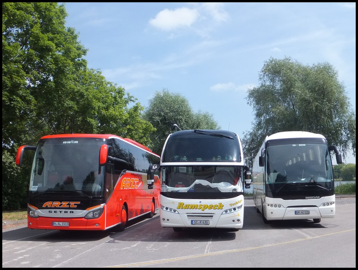 Setra 515 HD von Arzt aus Deutschland und Neoplan Cityliner von Ramspeck aus Deutschland und Neoplan Tourliner von N. Junklewitz aus Deutschland in Stralsund.