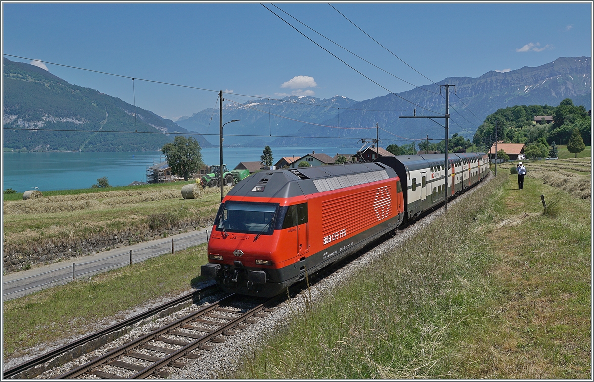 Sommer am Thunersee: die SBB Re 460 115  Heideiland  (UIC 91 85 4 460 115-9 CH-SBB) ist mit einem IC Richtung Bern bei Faulensee unterwegs. 

14. Juni 2021