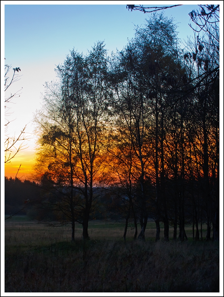 Sonnenuntergang am Westerwald....
Bei Nisterberg am 30.10.2013.