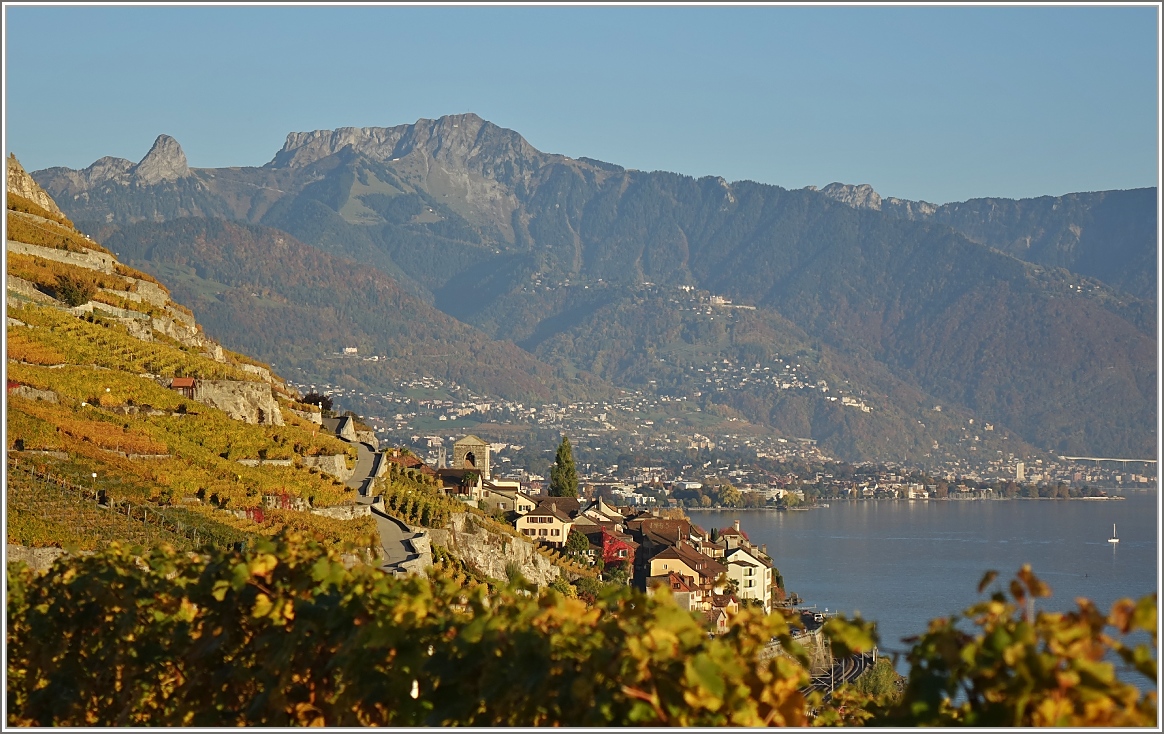 St-Saphorin und der Rochers-de-Naye im Licht der untergehenden Herbstsonne
(16.10.2017)