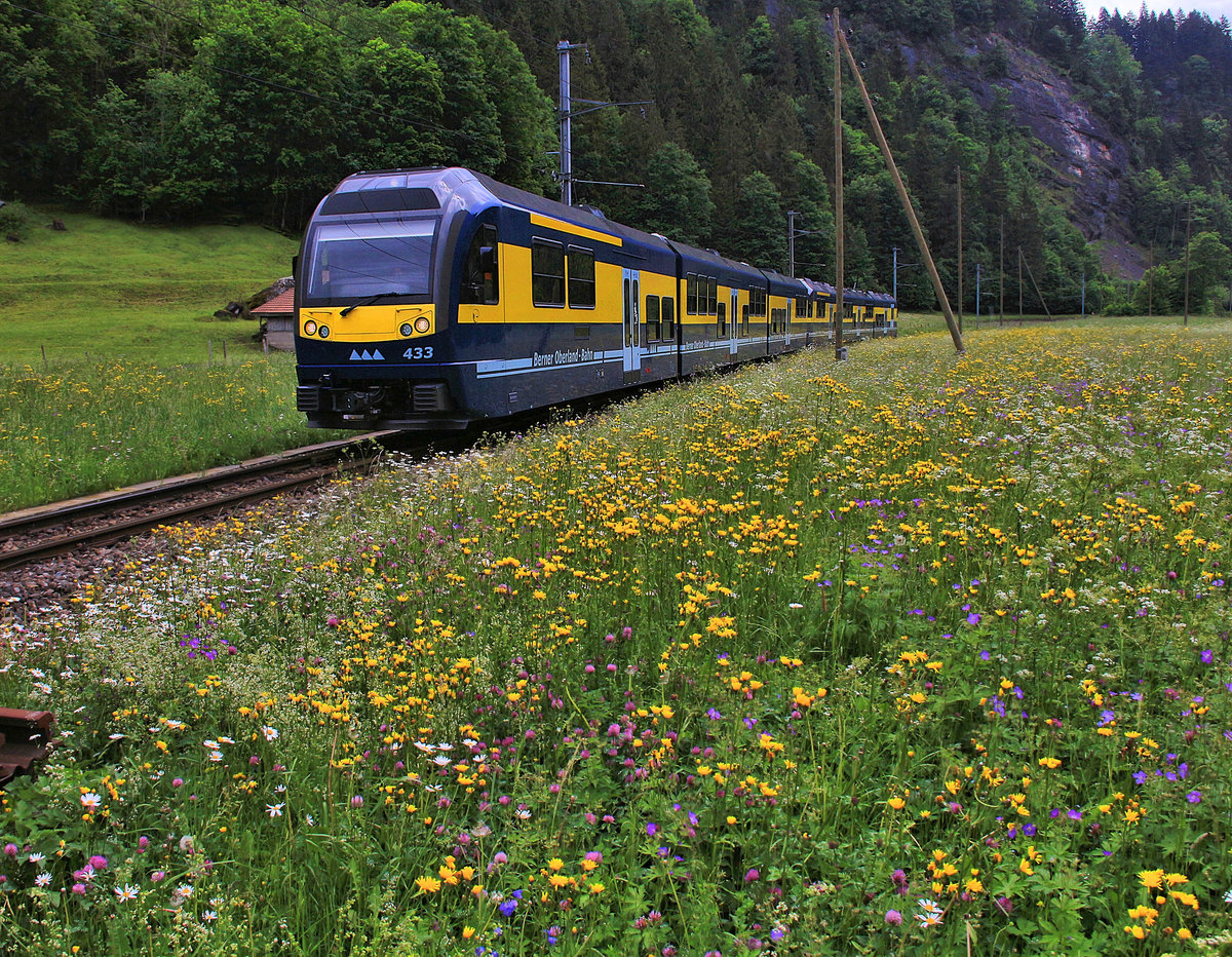 Steuerwagen 433 mit Triebwagen 324 zwischen Schwendi und Burglauenen. 29.Mai 2018 