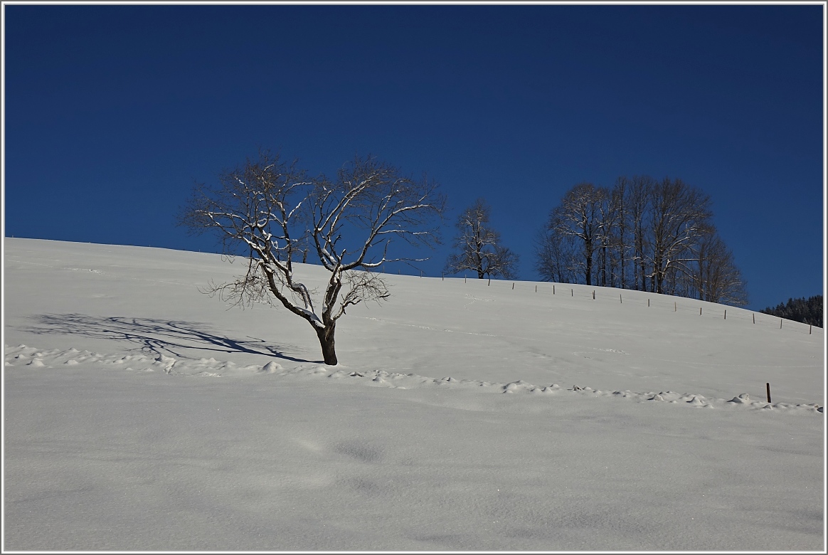 Tief verschneit zeigt sich die Landschaft zwischen Gstaad und Schönried.
(13.02.2018)