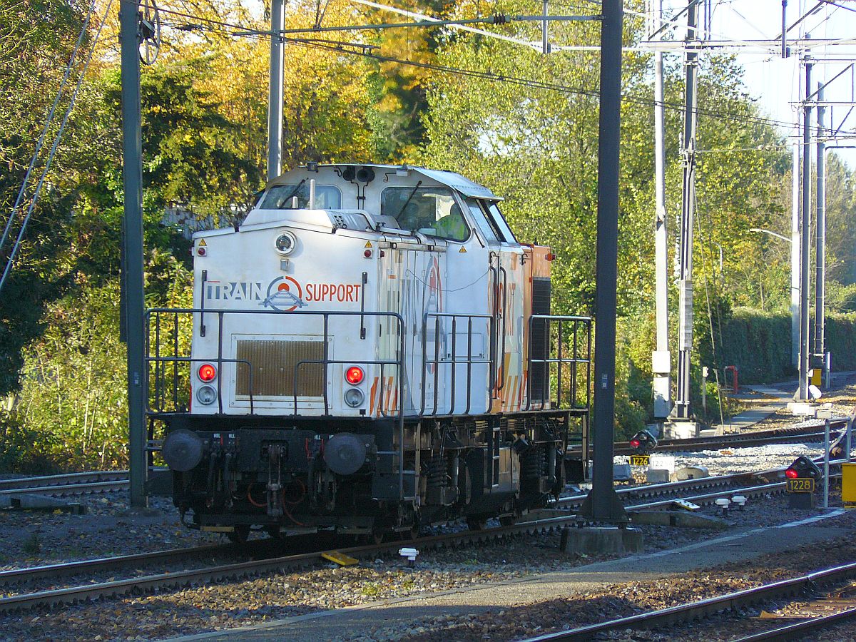 Train Support Lok TG-103 Dordrecht 24-10-2013.

Train Support TG-103 zojuist teruggekomen van Dordrecht Zeehaven. Dordrecht 24-10-2013.