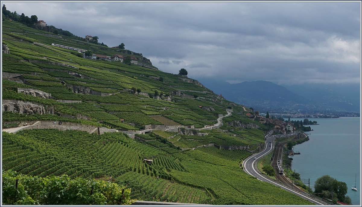 Viel Landschaft und wenig Bahn, dafür gleich zwei (kleine) Züge: im oberen Bildteil ist ein Domino-Zug zu sehen, der Richtung Vevey fährt, während im rechten Bildteil ein Flirt Richtung Lausanne unterwegs ist.
23. Juli 2017