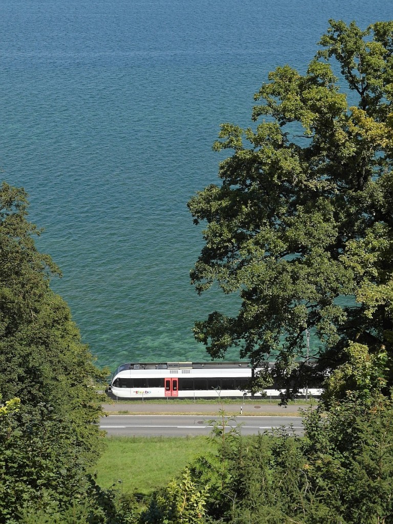 Viel Wasser, wenig Bahn - Blick von der Au�enanlage von Schloss Arenenberg auf S8 23843 von St. Gallen nach Schaffhausen, die in K�rze die Station Mannenbach-Salenstein erreichen wird (17.08.2014).