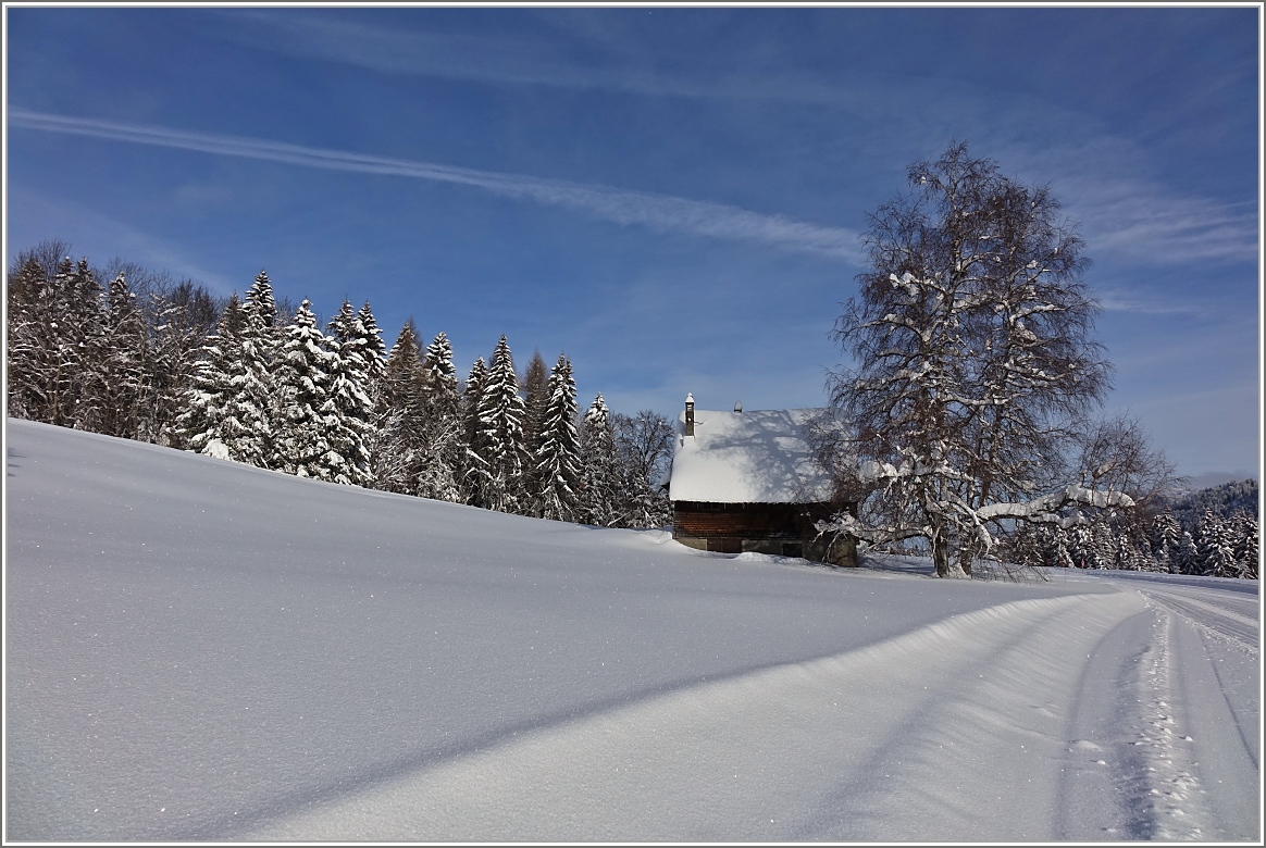 Winter im Hochmoor 
(03.02.2015)