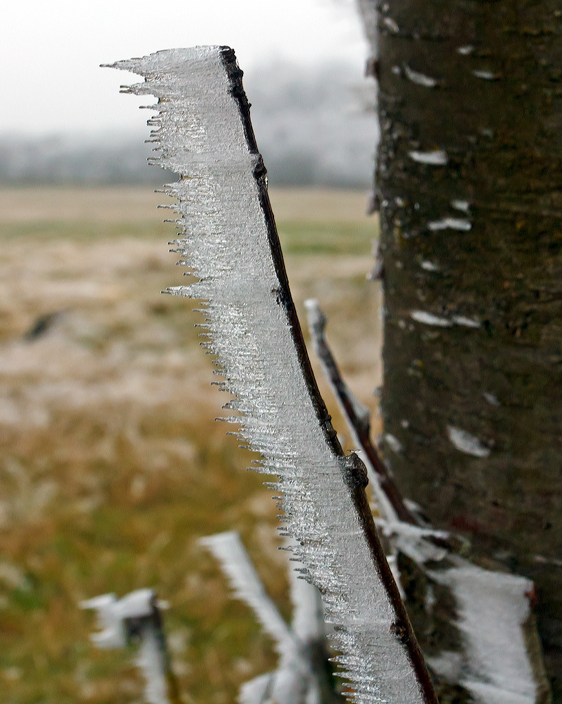 Winterliche Impressionen
Pnktlich zum 1. Dezember  hat der Winter auf dem Westerwald Einzug gehalten. 
Hier sieht man sehr gut wieviel Eis sich aufbaut, bei Nisterberg am 01.12.2014.