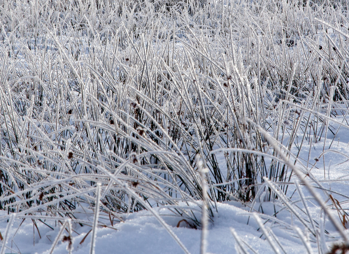 
Winterzauber im Westerwald, bei Nisterau am 05.01.2015.
