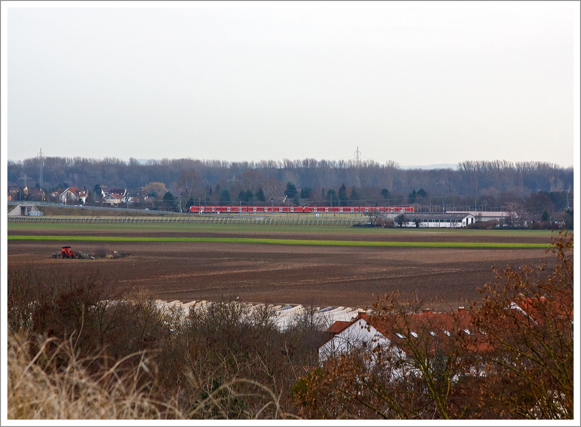 Zwei gekupelte Triebzge der BR 425 erreichen gleich den Bahnhof Limburger Hof, hier am 03.01.2014 aufgenommen vom Michaelsberg in LU-Maudach.