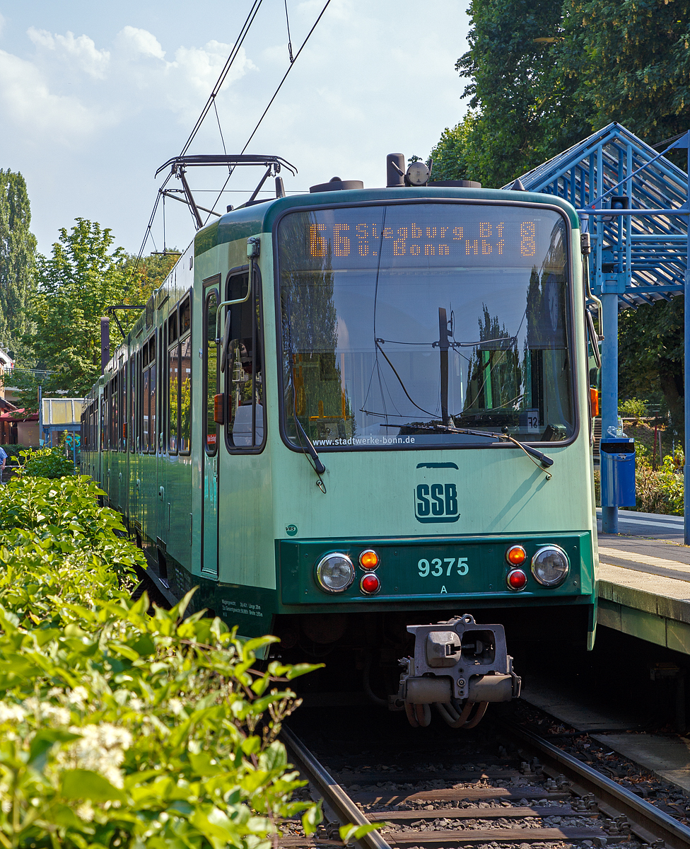 
Zwei gekuppelte Triebwagen 9375 und 937x der SSB (Elektrische Bahnen der Stadt Bonn und des Rhein-Sieg-Kreises) haben am 14.07.2018 die Endstation Bad Honnef erreicht und stehen nun wieder als Linie 66 nach Siegburg Bf über Bonn Hbf (Telekom Express) zur Abfahrt bereit.
 
Bei den Gelenk-Fahrzeugen handelt es sich um Stadtbahnwagen Typ B der dritten Generation (fünfte Serie) von der Düsseldorfer Waggonfabrik DUEWAG, mit Typbezeichnung DUEWAG B100C /6. Die Typbezeichnung bedeutet B-Wagen; Höchstgeschwindigkeit 100 km/h; Gleichstrommotor mit Chopper-Steuerung; Sechsachser

TECHNISCHE DATEN:
Baujahr: 1993
Spurweite: 1.435 mm
Bauart: 6xGlTwZR
Achsfolge: Bo'+1'1'+Bo'
Gesamtlänge: 28.000 mm 	
Wagenkastenbreite : 2.650 mm
Eigengewicht: 39.400 kg
Dienstgewicht: 56.885 kg
Leistung: 2 x 235 kW = 470 kW
Höchstgeschwindigkeit: 100 km/h
Netzspannung: 	750 V DC Oberleitung
Niederfluranteil: 0 %
Sitzplätze: 72
Stehplätze: 111(4 Pers/m²)
Fußbodenhöhe: 	1.000 mm

Wer heute mit der Bonner Stadtbahnlinie 66, dem  Telekom-Express , zwischen Bad Honnef, Bonn und Siegburg unterwegs ist, wird kaum noch wissen, dass es sich um eine ehemalige elektrische Kleinbahn handelt, die mit dem ellenlangen Namen  Elektrische Bahnen der Kreise Bonn-Stadt, Bonn-Land und des Siegkreises SSB  unter Beteiligung der genannten Gebietskörperschaften gegründet wurde, um sowohl den Siebengebirgsraum als auch die Kreisstadt Siegburg mit Bonn zu verbinden. Die Abkürzung  SSB  bedeutet übrigens  Siegburger und Siebengebirgsbahn . Die gesamte Betriebsführung obliegt seit 2004 jedoch der SWB Bus und Bahn (Tochter der Bonner Stadtwerke).
