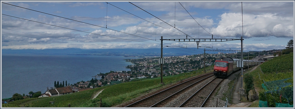 Zwischen Bossière und Grandvaux fährt eine Re 460 mit ihrem IC Richtung Bern. 
6. Sept. 2017