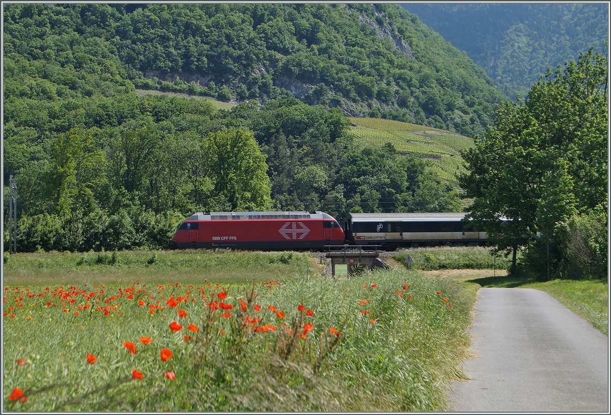 Zwischen Yvorne und Roche VD konnte ich die Zuglok Re 460 und den SNCF D des IR 1822 ablichten.
27. Mai 2015