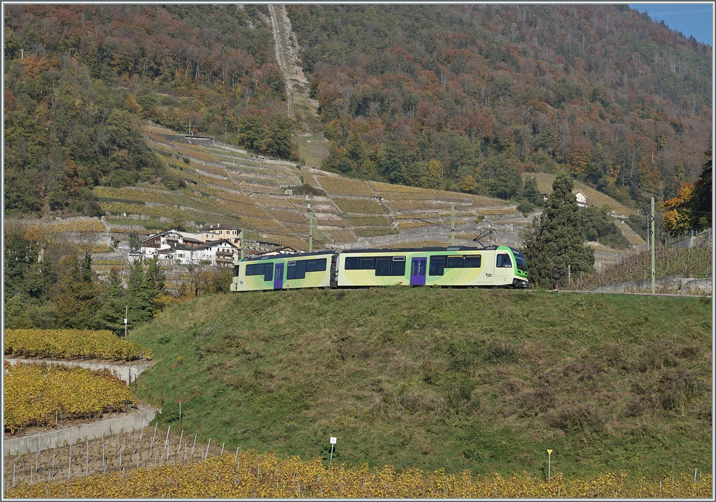An Höhe gewinnend verlässt der TPC ASD ABe 4/8 472 als R 71 auf der Fahrt von Aigle nach Les Les Diablerets oberhalb von Aigle die herbstlicher Rebstöcke und wird bald aus dem Blickfeld verschwinden. 

2. November 2024