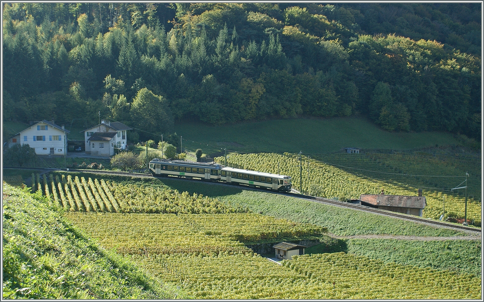 Der Lausanne-Bercher-Triebwagen Be 4/4 mit Bt ist zur Aushilfe auf der ASD-Strecke oberhalb des Schlosses von Aigle auf Testfahrt. 

21. Okt. 2010