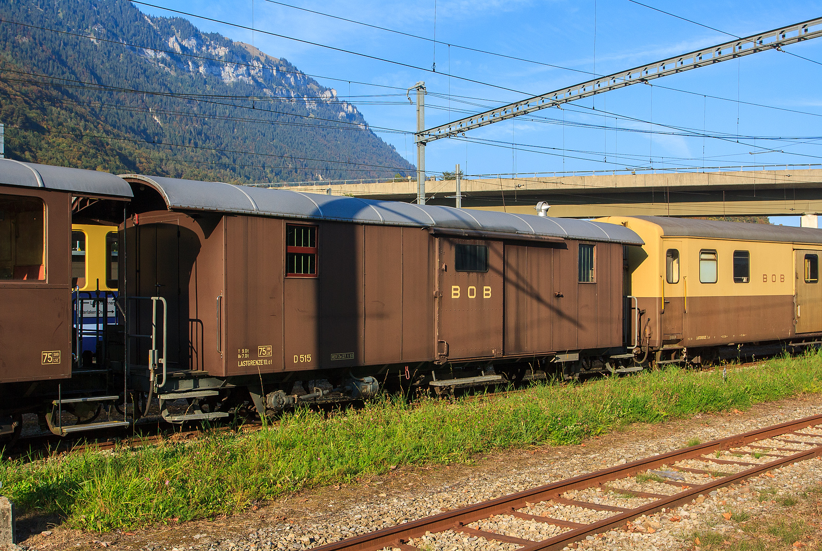 Der schmalspurige vierachsige Gepckwagen BOB D 515 mit zwei Plattformen, abgestellt am 02.10.2011 beim Bahnhof Interlaken Ost.

TECHNISCH DATEN:
Spurweite: 1.000 mm
Anzahl der Achsen 4
Eigengewicht: 9 t
Max. Ladegewicht: 10 t
Zul. Hchstgeschwindigkeit: 75 km/h
Zugelassen fr Netz der: Brnig, BOB und LSE
