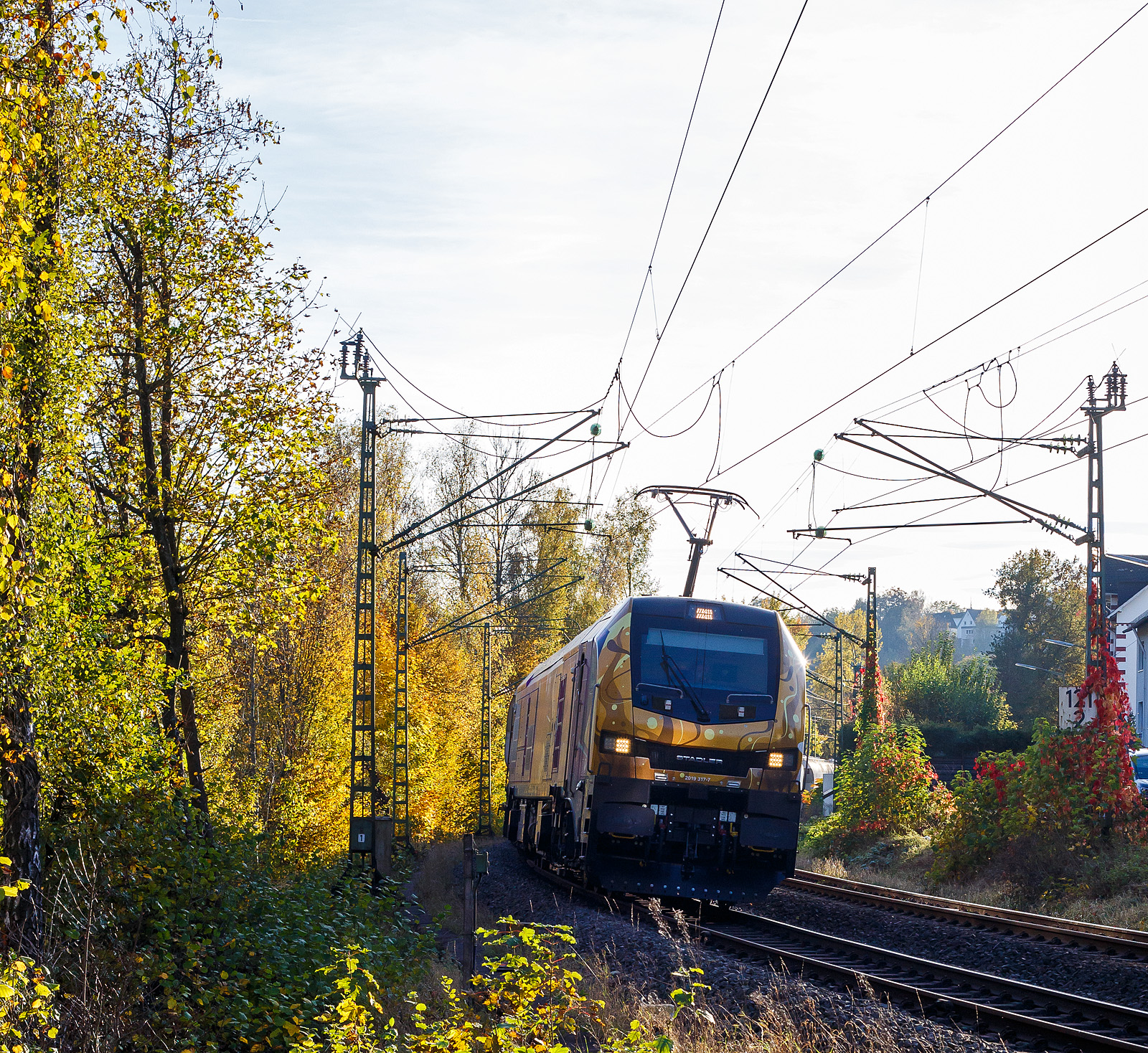 Die fast noch Fabrikneue, gerade mal sechs Wochen alt, und an die dispo-Tf Rail GmbH (Berlin) vermietete Stadler EURO 9000 der ELP - European Loc Pool AG (Frauenfeld/CH) 2019 317-7 (90 80 2019 317-7 D-ELP) fährt am 26 Oktober 2024, mit einem Zuckerzug (VTG Wagen der Gattung Uagnpps), durch Kirchen (Sieg) in Richtung Siegen. Vermutlich ist sie hier an die RTB CARGO GmbH (Düren) untervermietet.

Die Stadler EURO 9000 eine Co'Co'- DualModeLok wurde 2024 von Stadler Rail Valencia S.A.U. in Albuixech (Spanien) unter der Fabriknummer 4339 gebaut und am 18.09.2024 an die ELP - European Loc Pool AG in Frauenfeld (CH) ausgeliefert. Seit dem 18.09.2024 ist sie auch an die dispo-Tf Rail GmbH (Berlin) vermietet.

