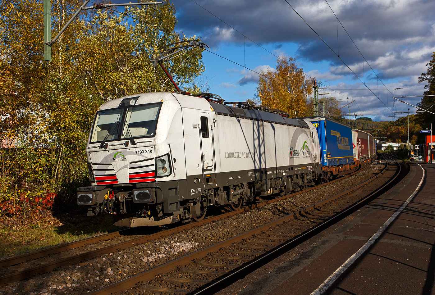 Die recht neue weiße TXL 7193 309 „Connected to Nature“ (91 80 7193 318-1 D-TXL) der TXL - TX Logistik AG (Troisdorf) fährt am 30 Oktober 2025 mit einem KLV-Zug durch Scheuerfeld/Sieg in Richtung Köln. Als Schlussläufer war am Zugschluss zudem die kalte, an die HSL Logistik GmbH vermietete, AKIEM 186 383-6.

Nochmals einen lieben Gruß an den netten Lokführer zurück.

Die SIEMENS Vectron MS (X4E) wurde 2024 von Siemens Mobility in München-Allach unter der Fabriknummer 24282 gebaut und am 24.01.2025 an die TXL ausgeliefert. Die mit 6.400 kW konzipierte Mehrsystemlok ist in der Variante A22-11i ausgeführt und hat so die und hat so die Zulassungen und entspr. Länderpakete für Deutschland, Österreich, Schweiz, Italien und die Niederlande (D / A / CH / I / NL).

Über TX Logistik AG
TX Logistik wurde 1999 als privates Eisenbahnverkehrsunternehmen gegründet und bietet mit Verbindungen in elf Ländern ein leistungsfähiges europäisches Netzwerk. Das Unternehmen verfügt über Tochtergesellschaften in der Schweiz, Österreich, Dänemark und Schweden sowie eine lokale Präsenz in Italien. In den Geschäftsbereichen Intermodal und Rail Freight entwickelt TX Logistik umfassende Schienenlösungen für kontinentale und maritime Verkehre sowie maßgeschneiderte Konzepte für konventionelle Fracht. Mit 650 Mitarbeitern und 8,6 Milliarden gefahrenen Tonnenkilometern erwirtschaftete das Unternehmen 2021 einen Jahresumsatz von 253 Millionen Euro. Seit Januar 2017 gehört TX Logistik zu 100 Prozent der Mercitalia Logistics S.p.A., einer Tochtergesellschaft der FS - Ferrovie dello Stato Italiane. Mittlerweile gehört das Unternehmen mit zu den Größten für den Schienengüterverkehr in Europa.

Das Unternehmen bietet den ganzen Umfang an Schienengüterverkehr, inklusive Containertransport und kombiniertem Verkehr an. Wichtigste Transportstrecken sind von den Häfen Hamburg, Bremerhaven, Rotterdam und Antwerpen nach Süddeutschland, Schweiz, Österreich und Italien.

TX Logistik setzt nun auf eigene Vectron Loks:
Anfang Oktober 2024 hat die TX Logistik AG ersten drei von 40 modernen Vectron-Lokomotiven des Herstellers Siemens Mobility aufs Gleis gesetzt, die das zur Mercitalia Logistics (FS Italiane Group) gehörende Schienenlogistikunternehmen im Mai 2023 bestellt hatte. Die Erweiterung der Fahrzeugflotte ist für TX Logistik eine wichtige Voraussetzung, um im intermodalen und grenzüberschreitenden Schienengüterverkehr weiter zu wachsen. Die neuen Lokomotiven werden vor allem auf dem Brenner- und dem Schweiz-Korridor eingesetzt, den strategisch wichtigen Nord-Süd-Achsen in Europa.

Beide Korridore sind stark frequentiert und stellen hohe Anforderungen an die eingesetzten Lokomotiven – von der Zugkraft über die Stabilität bis hin zur grenzüberschreitenden Systemkompatibilität. TX Logistik hat dazu die Maschinen mit verschiedenen Länderpaketen bestellt. 20 Vectron erhalten das Länderpaket für den Betrieb in Deutschland, Österreich, Schweiz, Italien und den Niederlanden (D-A-CH-I-NL) und sollen bis Anfang 2025 übergeben werden. Die Auslieferung der 20 Lokomotiven mit der Ausstattung für den deutsch-österreichisch-italienischen Korridor (D-A-I) soll bis zum Jahresende 2025 erfolgen.

Die Entscheidung für den Kauf der Vectron-Lokomotiven unterstreicht zugleich das Bestreben von TX Logistik, Schienengüterverkehre als umweltfreundliche und effiziente Alternative zum Straßentransport weiter voranzutreiben. Um dies zu unterstreichen und gleichzeitig für den Einstieg in den intermodalen Transport zu werben, hat die erste der drei Vectrons, die im Zughotel in Braunschweig übergeben wurden, eine spezielle Lok-Beklebung mit dem Schriftzug „Start now (Nature). Driven by Green Passion“ erhalten.

Die neuen Loks bieten mit ihrer Flexibilität und Leistungsfähigkeit ideale technische Voraussetzungen, um den steigenden Anforderungen des europäischen Güterverkehrs gerecht zu werden. Mit der modernen Vectron-Flotte, so TX Logistik, sei man mittelfristig nun in der Lage, die Kapazitäten auf dem Brenner- und dem Schweiz-Korridor deutlich zu erhöhen sowie die Effizienz und Zuverlässigkeit im Schienengüterverkehr weiter zu verbessern.
