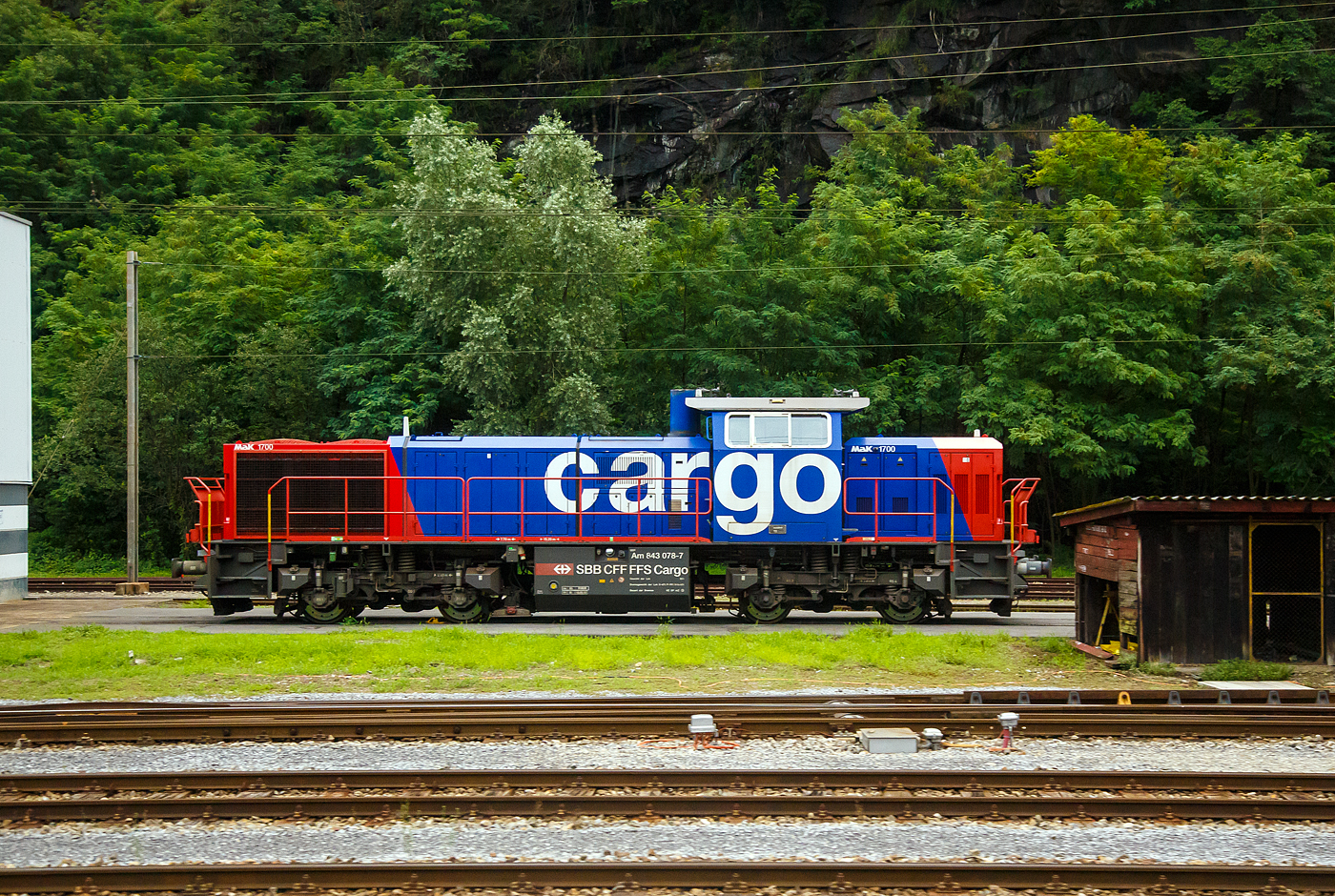 Die SBB Cargo Am 843 078-7 (Am 98 85 5 843 078-7 CH-SBBC, eine für die Schweizerischen Bundesbahnen (SBB) modifizierte Vossloh MaK G 1700 BB, steht am 02 August 2025 in Airolo. 

Die Lok wurde 2004 von der Vossloh Locomotives GmbH in Kiel-Friedrichsort unter der Fabriknummer 1001410 gebaut und an die SBB Cargo AG in Basel geliefert. Im Juni 2023 wurde die Lok von der SBB Cargo an die NRFAB - Nordic Re-Finance AB in Bankeryd (Schweden) verkauft und dann wieder von der SBB Cargo angemietet zu werden. Ob man damit auf lange Sicht wirklich Geld spart wage ich zu bezweifeln. Man gibt doch eher Finanzkräftigen Investoren immer mehr die Möglichkeit mehr Geld anzuhäufen. 

Am 843 für die Schweizerischen Bundesbahnen (SBB):
Die Schweizerischen Bundesbahnen (SBB) bestellten bei Vossloh zunächst 59 Lokomotiven der Baureihe Am 843. Diese Lokomotiven werden im schweren Rangier- und leichten Streckendienst eingesetzt. Dazu gehört neben dem Rangierdienst in den größeren Rangierbahnhöfen und auf Stationen auch der Zustelldienst mit Streckenfahrten im Nahbereich. Ein weiteres Einsatzgebiet für die Lokomotiven besteht im Bau- und Interventionsdienst.

Um die Am 843 für diese sehr unterschiedlichen Aufgaben möglichst gut anzupassen fiel die Wahl auf eine der G1206 sehr ähnliche Maschinenanlage. Das Turbowendegetriebe L 5r4 z wurde in einer Version als Stufengetriebe verwendet. Es besetzt einen Rangiergang mit 40 km/h Höchstgeschwindigkeit und hohen Zugkräften im unteren Geschwindigkeitsbereich, sowie einen Streckengang mit 100 km/h Höchstgeschwindigkeit. Der Motor bleib dagegen der gleiche und leistet unverändert .1500 kW.

Für die übrigen Komponenten bediente man sich bei der Entwicklung der Am 843 jedoch der wesentlich jüngeren G 1700-2 BB, die den hohen Komfortwünschen der SBB gerecht wurden und deutlich mehr Einbauräume für diversen Sonderausrüstungen, z. B. die schweizerischen Zugsicherungen Integra Signum und ZUB 262 ct bietet. Trotzdem unterscheidet sich die Am 843 durch das Linksführerhaus und die für die Schweiz typischen eckigen Lampen und Geländer mit Schutzblechen schon äußerlich deutlich von ihr. Eine weitere Besonderheit ist der Partikelfilter zur Reduzierung des Rußausstoßes, die erstmals bei einer Lokmotive dieser Leistungsklasse in Serie eingebaut wurde.

Im Herbst 2003 begann die Lieferung die ersten Loks. Weitere Lokomotiven der Baureihe Am 843 konnten an andere Bahnen in der Schweiz verkauft werden. Zunächst erhielt das Bauunternehmen Sersa AG im Sommer 2004 drei Lokomotiven, die bei der Ausrüstung des Lötschberg-Basistunnels eingesetzt wurden. Für den gleichen Tunnel, jedoch für den Bau- und Interventionsdienst im regulären Betrieb erhielt die BLS zwei Jahre später ebenfalls drei Am 843. Als Besonderheit erhielten die BLS-Loks die europäische Zugsicherung ETCS, die im neuen Tunnel verwendet wird.

Der Lokrahmen besteht aus Walzträgern und massiven Blechen, welche in Schweißkonstruktion miteinander verbunden wurden. Dadurch entsteht ein stabiler und robuster Grundaufbau, welcher der Lok die notwendigen Festigkeiten verleiht. Im Lokrahmen wurde eine so genannte Umweltwanne montiert, welche aus dem Fahrmotor austretenden Flüssigkeiten (Mineralölen und Wasseremulsionen) auffängt, diese können mit Hilfe eines Ablasshahnes entleert und fachmännisch entsorgt werden.

Der vordere längere Vorbau beinhaltet neben dem Dieselmotor auch die notwendige Kühlanlage und das Antriebsgetriebe. Der kürzere hintere Vorbau enthält neben der Druckluftanlage auch die elektrischen Komponenten wie die Batterieladung.

Zwischen den beiden Vorbauten befindet sich das Mittelführerhaus, welches über die zwei diagonal gegenüberliegenden Eingangstüren betreten werden kann. In ihm sind alle für den Lokführer notwendigen Einbauten vorhanden. Ein Führersitz je Fahrpult und Fahrrichtung, welcher mit Arm- und Rückenlehnen ausgerüstet ist, erlaubt die sitzende Bedienung der Lokomotive. Dieser Führersitz ist drehbar gelagert und kann zusammengeklappt und unter den Führertisch verschoben werden. Dadurch ist auch die stehende Bedienung der Lokomotive ohne Behinderung möglich. Zur Entlastung der Füße sind auch verstellbare Fußstützen montiert. Der Fußboden ist mit einem Profilgummibelag belegt worden, der eine einfache Reinigung und dennoch einen guten Stand erlaubt.

Angetrieben wird die Lokomotive von einem 12-Zylinder-4Takt-Dieselmotor vom Typ Caterpillar 3512 B DI-TA-SCAC, dieser erbringt mit Hilfe der beiden Abgasturbolader und der Ladeluftkühlung eine maximale Leistung von 1.500 KW (2.040 PS). Seine höchste Drehzahl beträgt 1.800 U/min. Er wird mit Hilfe eines elektrischen Anlassers gestartet und ist elektronisch geregelt. Dadurch ist es möglich, den Motor bestmöglich im optimalen Leistungsbereich zu betreiben. Sein Gewicht beträgt mit 322 Liter Schmieröl und 134 Liter Kühlwasser 7.700 kg.

Die vom Dieselmotor erzeugte Leistung wird mittels einer Gelenkwelle auf das hydrodynamische Getriebe (Turbowendegetriebe), vom Typ Voith L5r4zseU2, übertragen. Das Getriebe hat eine maximale Leistung von 1.400 kW. Es beschränkt somit die Leistung der Lokomotive und verhindert zugleich, dass der Fahrmotor überlastet werden kann. Seine maximale Drehzahl ist gleich groß, wie jene des Fahrmotors.

Das Turbowendegetriebe besitzt für jede Fahrrichtung zwei Drehmomentwandler. Dem eigentlichen Wandlergetriebe ist ein mechanisches Getriebe nachgeschaltet, das eine niedrige für den Rangierbetrieb bestimmte Schaltung und eine höhere für den Streckenbetrieb bestimmte Schaltung zur Verfügung zu stellen. Diese Umschaltung darf jedoch erst im Stillstand erfolgen.

Die Achsen in den Drehgestellen werden über Gelenkwellen vom Turbowendegetriebe angetrieben. Die Übertragung auf die Achsen erfolgt mit Hilfe von Stirnradgetrieben mit Kegelradvorgelege.

TECHNISCHE DATEN:
Gebaute Anzahl: 79
Spurweite: 1.435 mm (Normalspur)
Achsformel: B'B'
Länge über Puffer: 15.200 mm
Höhe: 4.220 mm
Breite: 3.080 mm
Drehzapfenabstand: 7.700 mm
Achsstand im Drehgestell: 2.400 mm
Dienstgewicht: 80 t
Höchstgeschwindigkeit: 100 km/h (40 km im Rangiergang)
Installierte Leistung: 1.500 kW (2.040 PS)
Anfahrzugkraft: 249 kN
Treibraddurchmesser: 1.000 mm (neu)
Motorentyp: Caterpillar 3512B DI-TA-SCAC
Nenndrehzahl: 1.800/min
Getriebe:  Voith Typ L 5r4 zseU2 	
Kleinster bef. Halbmesser: 60 m
Tankinhalt: 3.500 l
