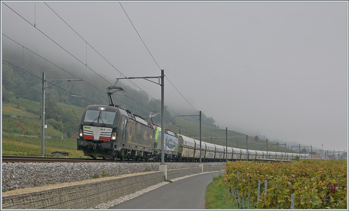 Die X4E-711 (im Einsatz für die BLS) und die BLS Re 465 mit einem Güterzug zwischen Ligerz und La Neuveville. Weit im Hintergrund ist die Baustelle für den Doppelspurausbau  Ligerz  zu sehen. 

08. Oktober 2025