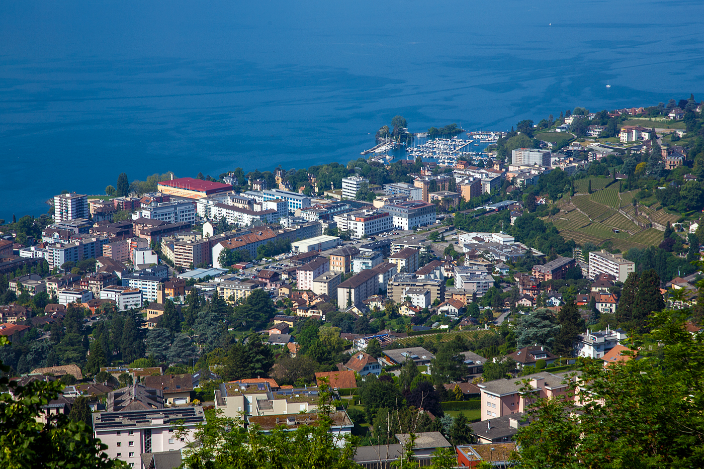 Ein Loksuchbild, eine Re 6/6 (Re 620) der SBB Cargo fährt am 27.05.2023 durch Clarens (ein Quartier der Stadt Montreux) in Richtung Lausanne.

Es die Aussicht vom Bahnhof Chamby auf den Genfersee. Hinten der Port du Basset – Montreux und die Insel Salagnon (auch als „Schwaneninsel“ bekannt). 