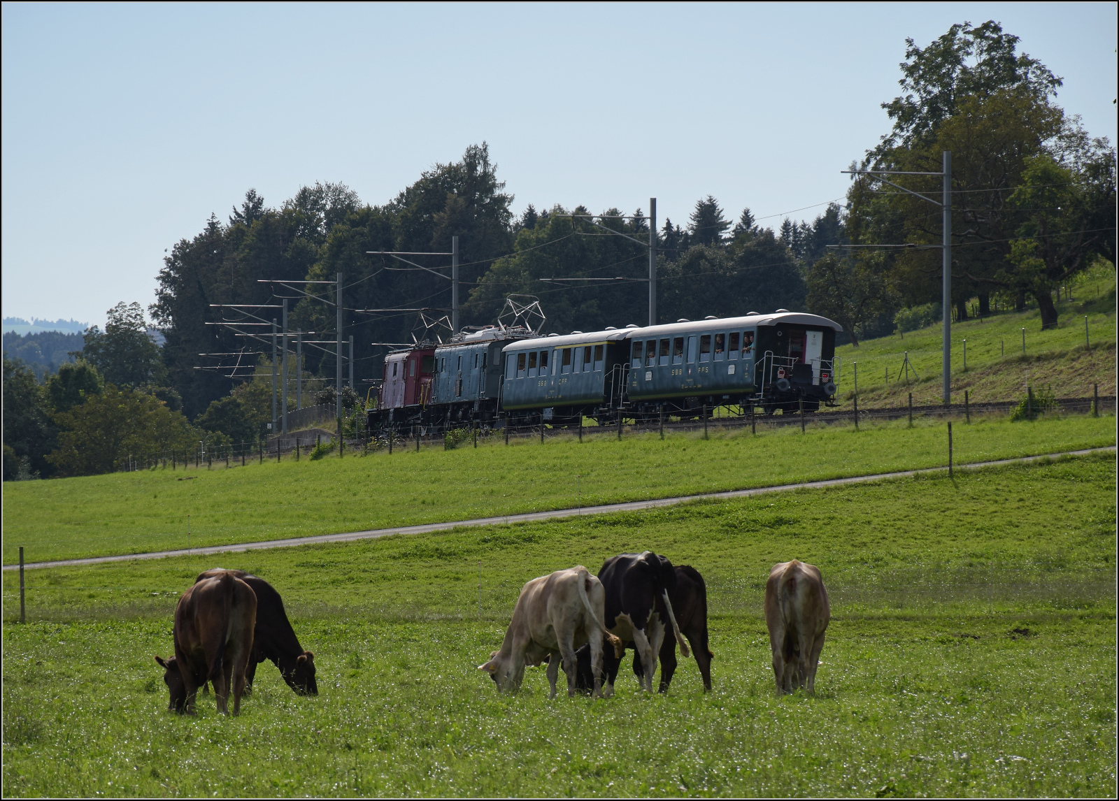 Historische Seethalbahn in Aktion. 

Der Museumszug mit Seetalkrokodil De 6/6 15301, A 3/5 10217 und den Seetalwagen ABi 4415 sowie Bi 7714 auf der Bunkerhangarwiese beim Flugplatz Emmen. September 2024.