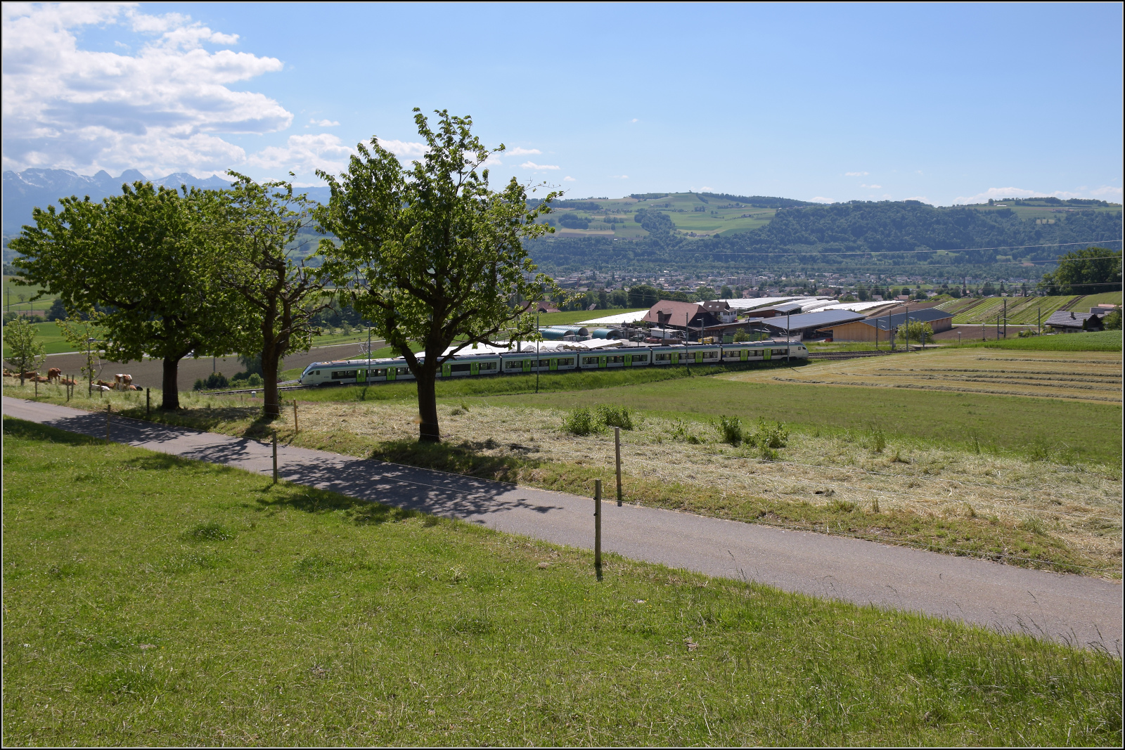 RABe 528 207 verk�rzt die Wartezeit auf R�ckkehr der Feierbiester von 150 Jahre Emmentalbahn. T�gertschi, Mai 2025.