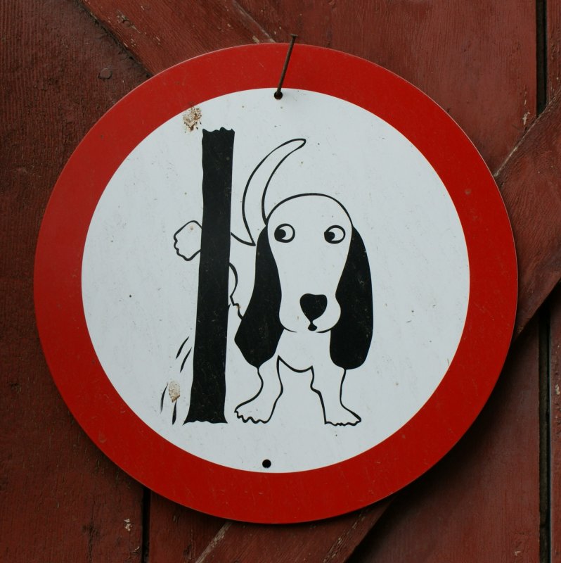 Am 01.01.2009 wurden auch neue Verkehrsregeln für Hunde eingeführt...
Gesehen im alten Dorfkern von Blonay.
