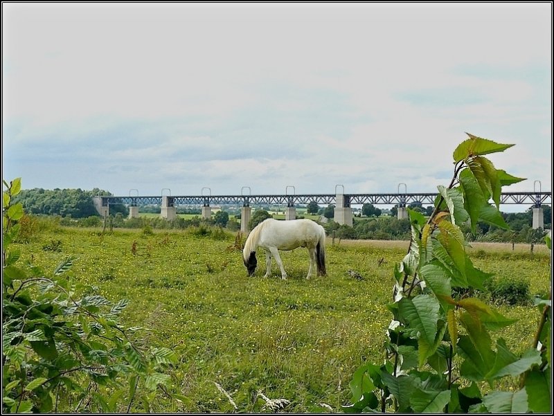 Brückenimpressionen in Moresnet. 12.07.08 (Hans)