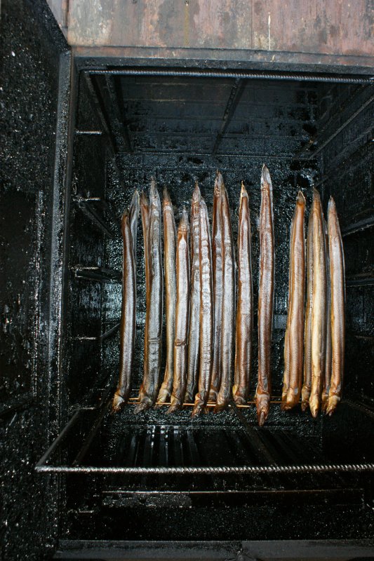 Einblick in die Räucherkammer: frisch geräucherter Aal, ein köstliches Mittagessen.
(Juni 2009)