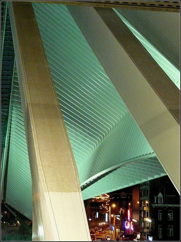 Lige Guillemins by night. 17.02.08 (Jeanny)