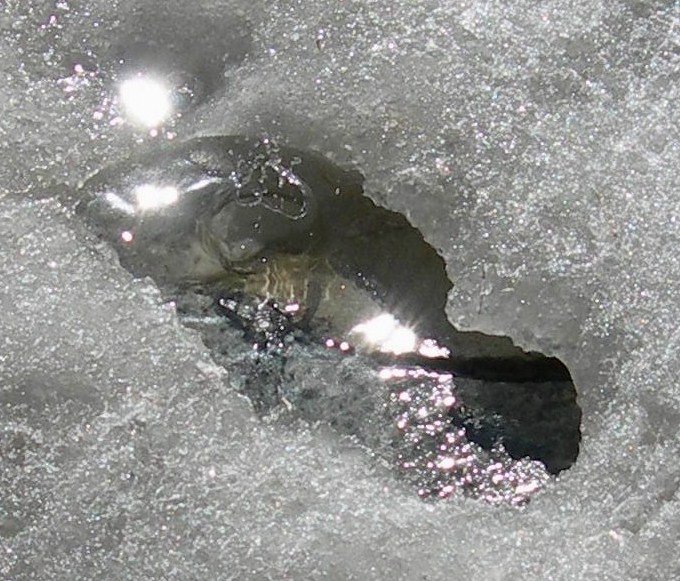 Steter Tropfen h�hlt den Stein, in diesem Falle den Schnee.
(Februar 2007)