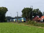 Abellio Westfalenbahn Triebzug ET 413 und ET 4XX Bahn�bergang Devesstra�e, Salzbergen 11-09-2020.