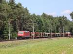 DB Cargo Lokomotive 185 341-5 Bernte, Emsb�ren 03-06-2022.