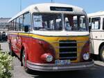 IFA H6B von De Stralsunner aus Deutschland in Stralsund.