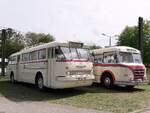 Ikarus 66 und IFA H6B der Rostocker Nahverkehrsfeunde/Rostocker Stra�enbahn AG in Rostock.