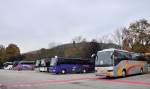 Buntes Busbild in Krems im Oktober 2012,rechts ein VOLVO 9700 von Optimal reisen aus sterreich.