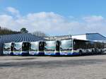 Mercedes Citaro III der Usedomer Bäderbahn in Heringsdorf.