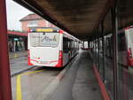 AAGS – Mercedes Citaro Nr.