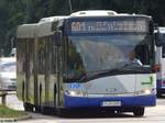 Solaris Urbino 18 von Beelitzer Verkehrs- und Servicegesellschaft mbH in Potsdam.