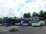 Setra 415 HD von Friebel-Reisen und Setra 412 UL von Reisedienst Zeidler und Neoplan Tourliner von Der Elsetaler und Mercedes Travego von Klute und VDL Berkhof Axial von Felden-Reisen aus Deutschland