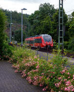 Mal ein etwas anderes Bahnbild mit Buschrosen vor dem Motiv.