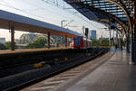 Zwei gekuppelte vierteilige ET 423 (423 796 / 426 296 und 423 757/423 257) der S-Bahn Köln (betrieben durch die DB Regio AG – NRW) verlassen am 18 Juni 2025, als Linie S 11 nach Bergisch