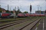 Radexpress Bodensee I.

Die 218 417 als Zugpferd der Hochrheinbahn kam als willkommene Zugabe zum Radexpress Bodensee daher und bot Gelegenheit für ein Bild mit 218 256 der NeSA. Für den Fotografen eine besonders nette Dreingabe. Singen, Juli 2024.