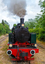 Die BBn4vt 1.000 mm Mallet- Dampflok 11sm (sm = schwere Mallet) der Brohltalbahn, eine Humboldt M.105, fährt am 24.05.2015 im Bahnhof Oberzissen an unseren Zug heran.