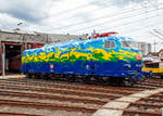 
Nun erstrahlt er wieder....
Der DB-Touristikzug  Paradiesvogel , die 103 220-0 (91 80 6103 220-0 D-DB) am 29.07.2018 im Südwestfälischen Eisenbahnmuseums in Siegen. Mein Lob an Rail-Design Bäcker, ist sehr gut geworden.

Die Lok wurde 1973 bei Krauss-Maffei in München unter der Fabriknummer 19633 gebaut, der elektrische Teil ist von Siemens. Im Jahr 1995 wurde sie für den DB-Touristikzug bunt-gescheckt in saphirblau, laubgrün, verkehrsgelb, himmelblau und reinweiß lackiert, wodurch die Elemente Wasser, Land und Luft versinnbildlicht wurden. Die z-Stellung erfolgte bereit 2002, aber erst im Dezember 2012 wurde sie ausgemustert, seit 2013 ist sie im Bestand vom DB Museum.

Die Lok ist – abgesehen von einer Hauptuntersuchung und abgefahrenen Radsätzen – betriebsfähig.  