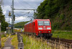 Die 185 181-5 (91 80 6185 181-5 D-DB) der DB Cargo AG rauscht als Lz (Lokzug)/ Tfzf (Triebfahrzeugfahrt) am 16 Juni 2024 durch den Bahnhof Scheuerfeld (Sieg) in Richtung Köln.