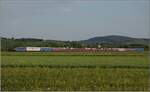 Von 146 522 gezogen, ist der Autozug bei Hügelheim noch am Beginn seiner Reise gen Norden. Hügelheim, Juni 2022.